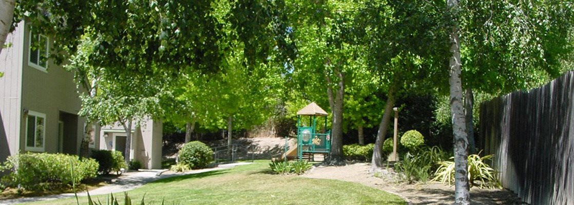 Gallery Photo 4