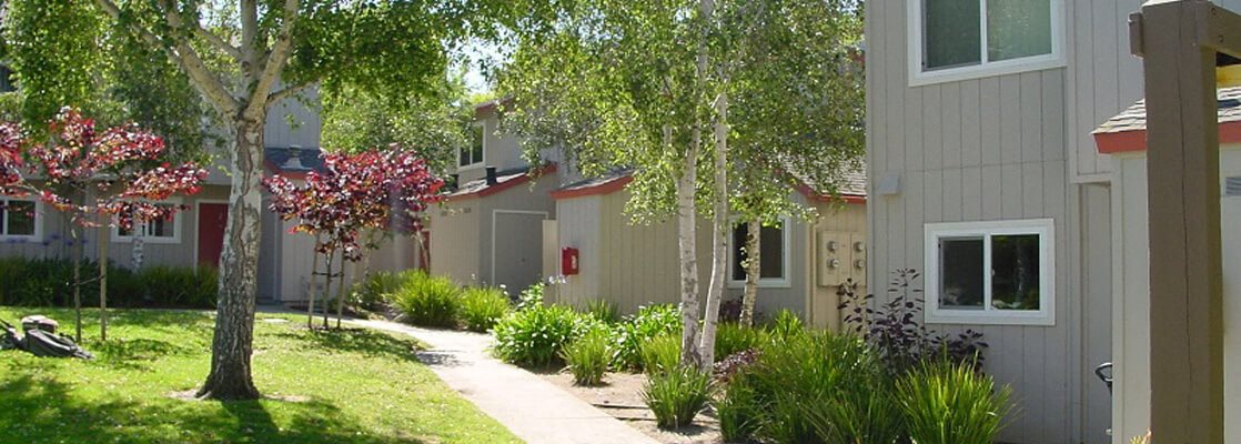 Gallery Photo 8