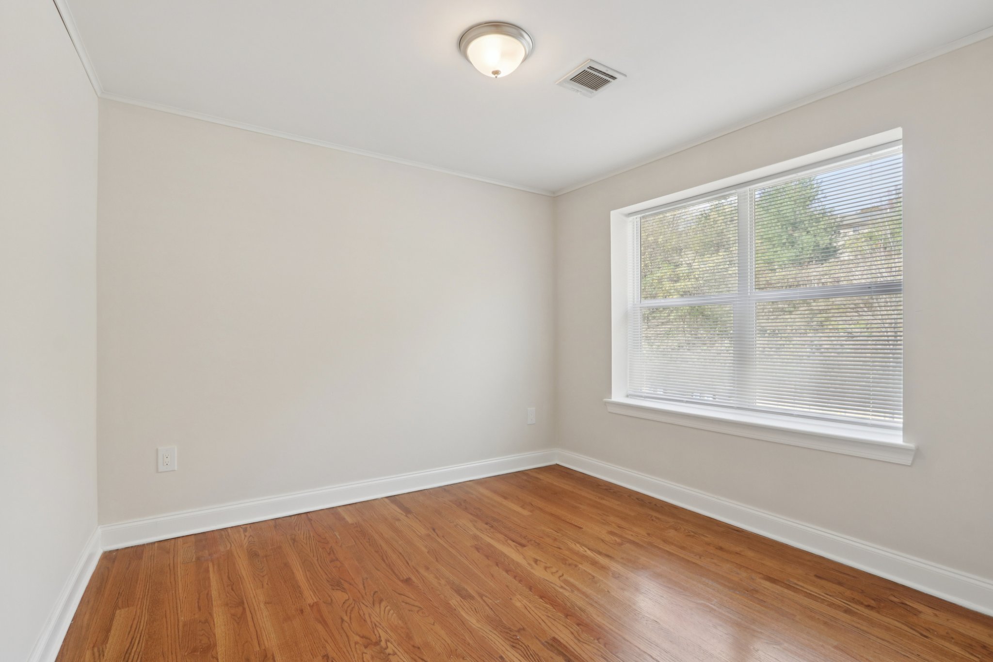 Gallery Photo 11