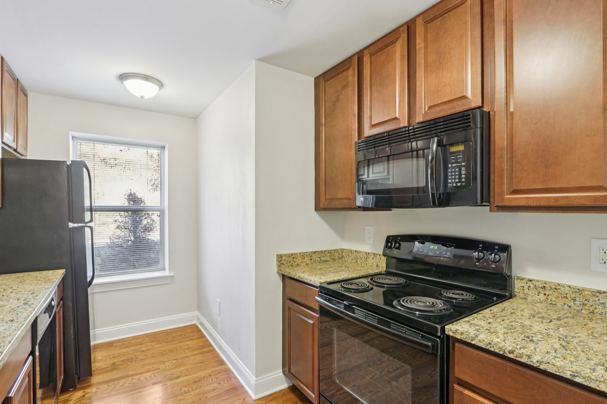 Gallery Photo 35