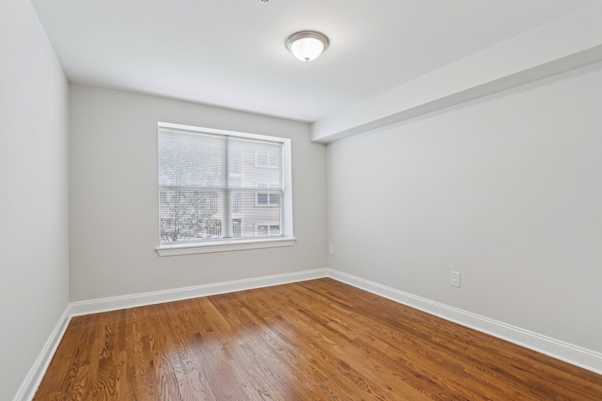 Gallery Photo 46