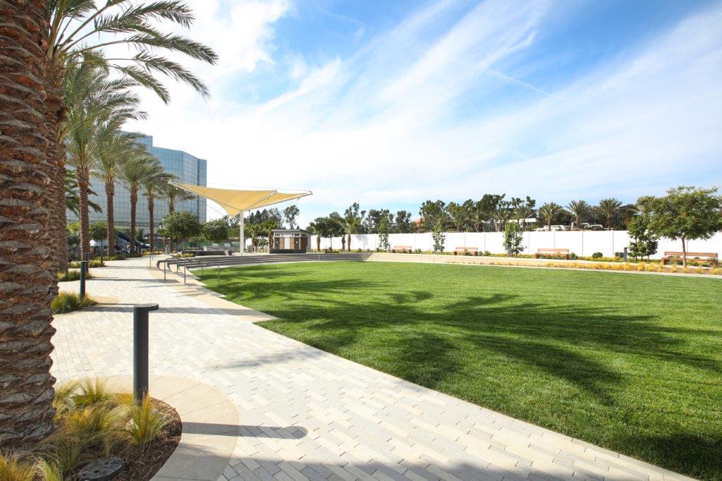 Spacious community park with a lush lawn and palm trees