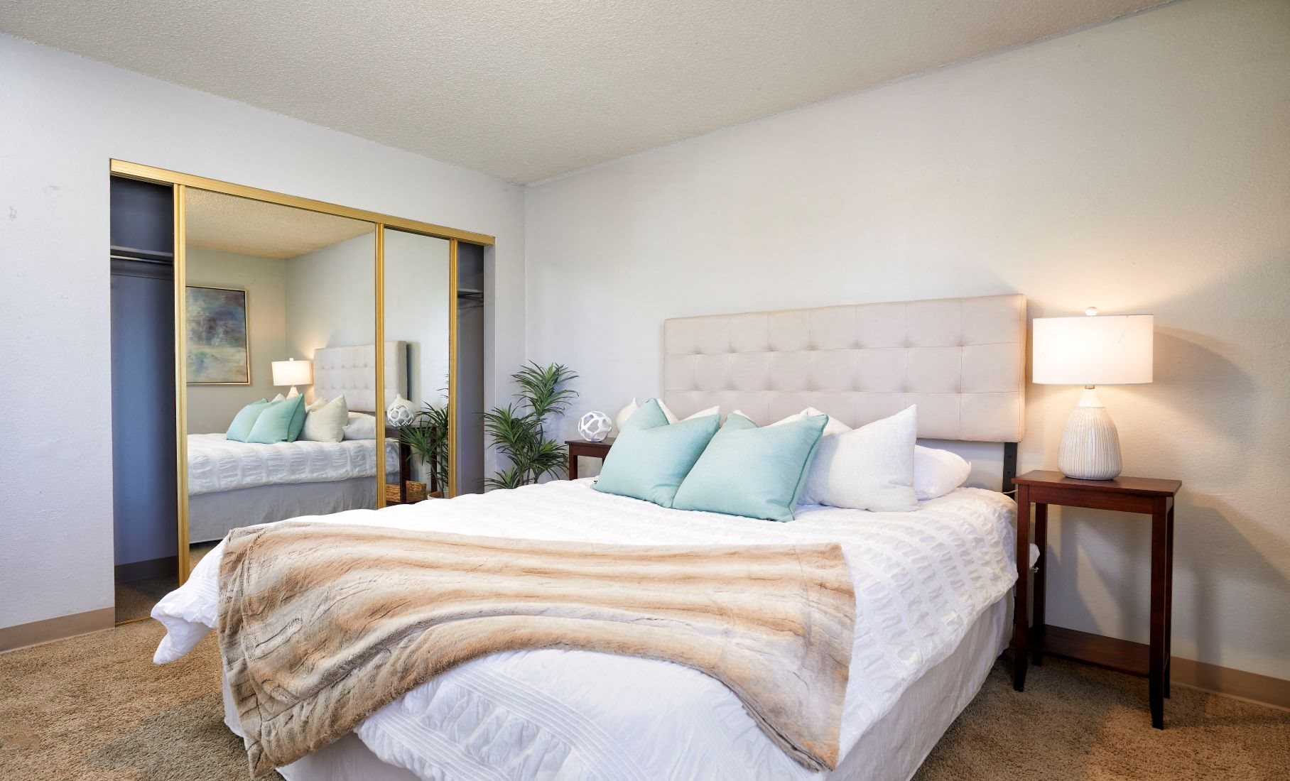 The Dexter Apartments Apartments in Denver, CO