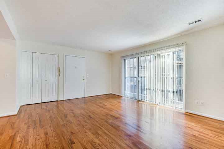 Gallery Photo 4