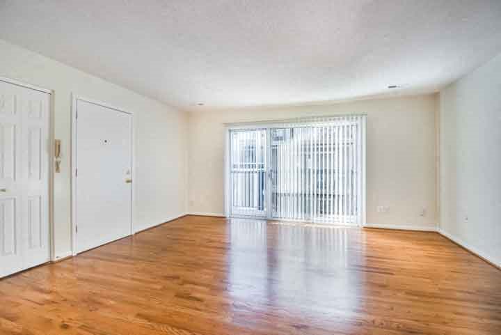 Gallery Photo 8
