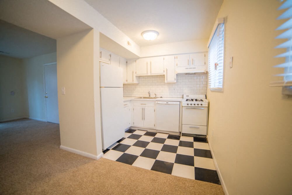 Gallery Photo 11