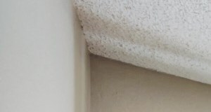 Altitude | Apartments in Golden, CO