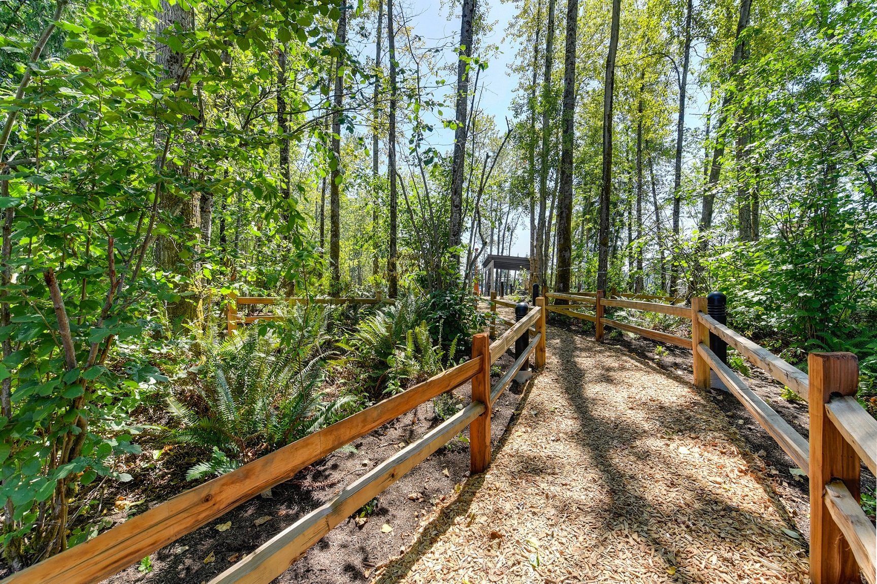 Walking Trail with Wood Chip Ground, Trees, and Wooden Fence