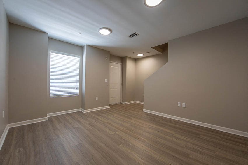 Gallery Photo 47