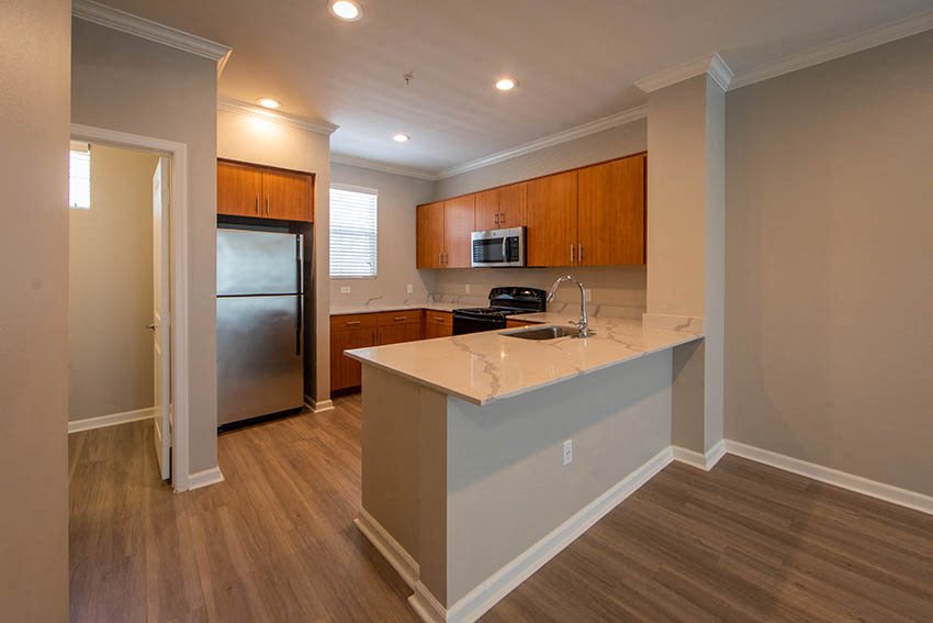 Gallery Photo 46