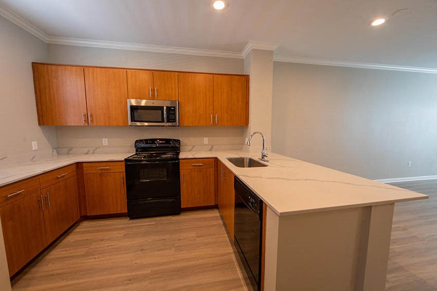 Gallery Photo 44