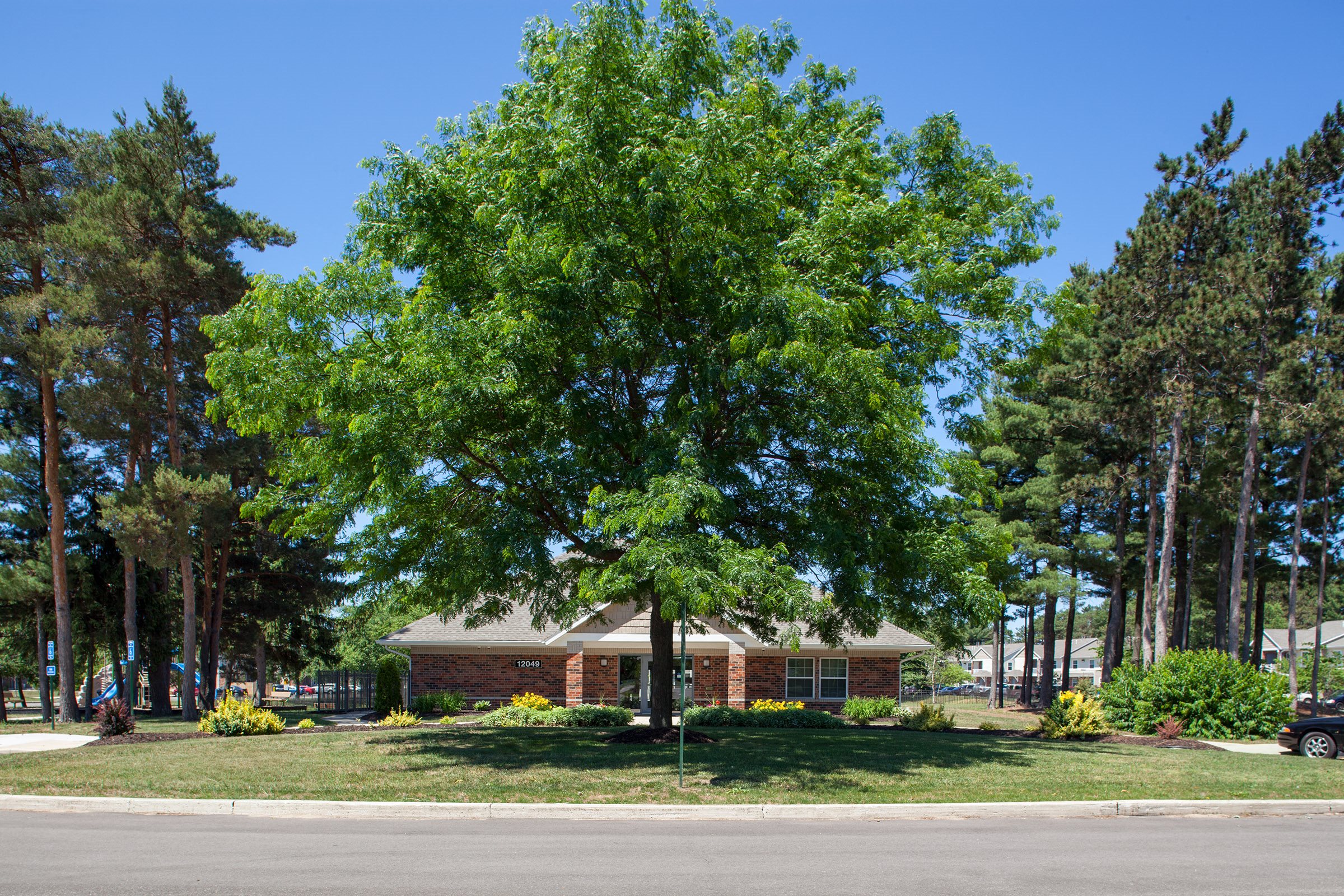 Photos and Video of Falcon Woods in Holland, MI