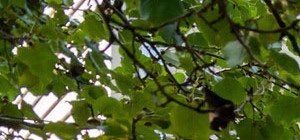 Batavia Village Apartments In Batavia OH batavia-village-apartments-in-batavia-oh