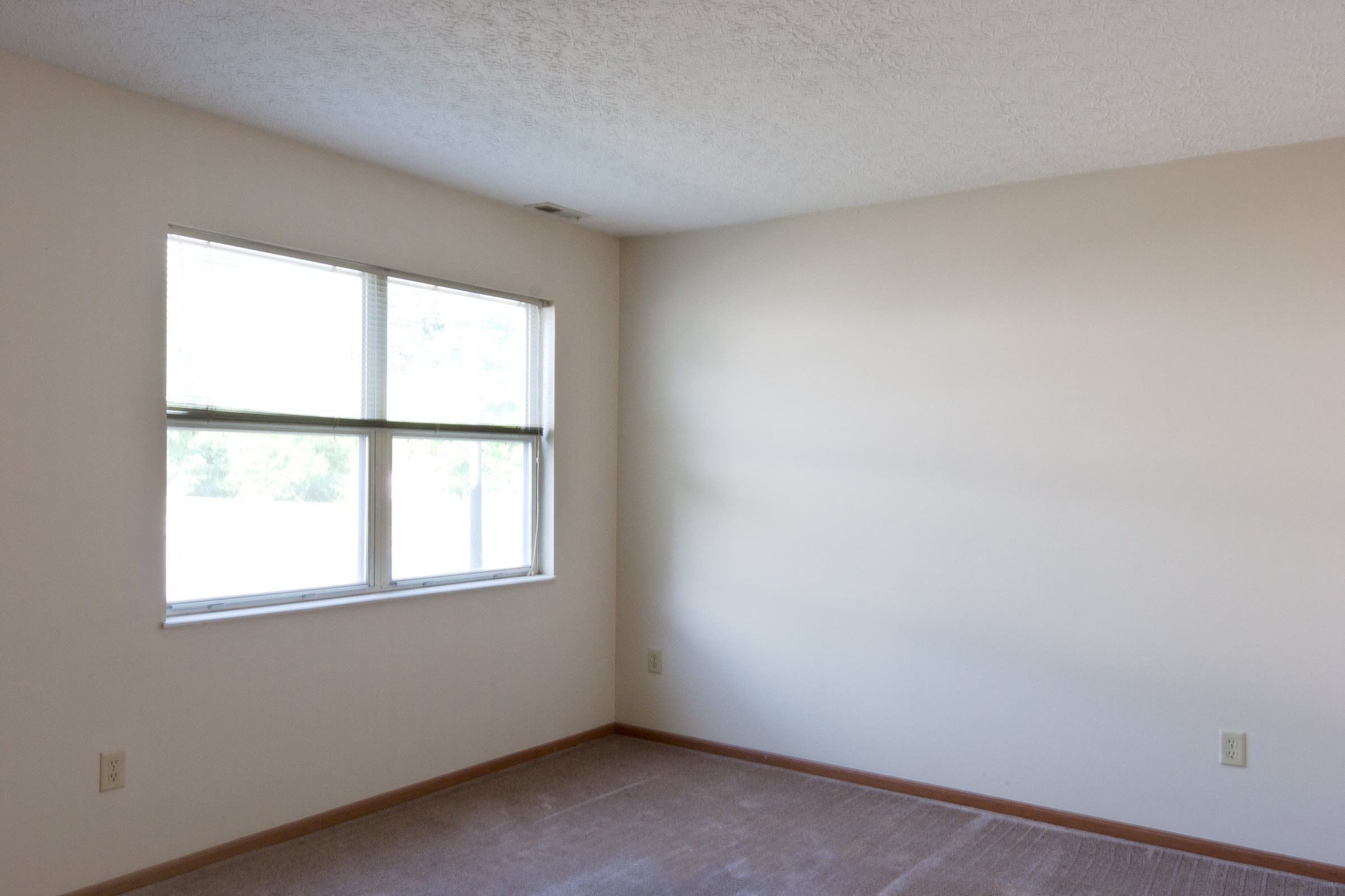 Gallery Photo 3