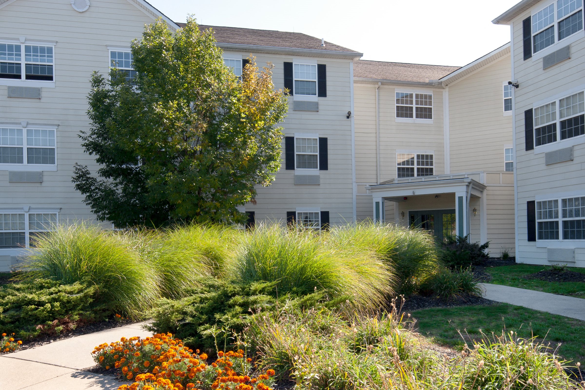 Photos and Video of Swan Cove Apartments in Toledo, OH