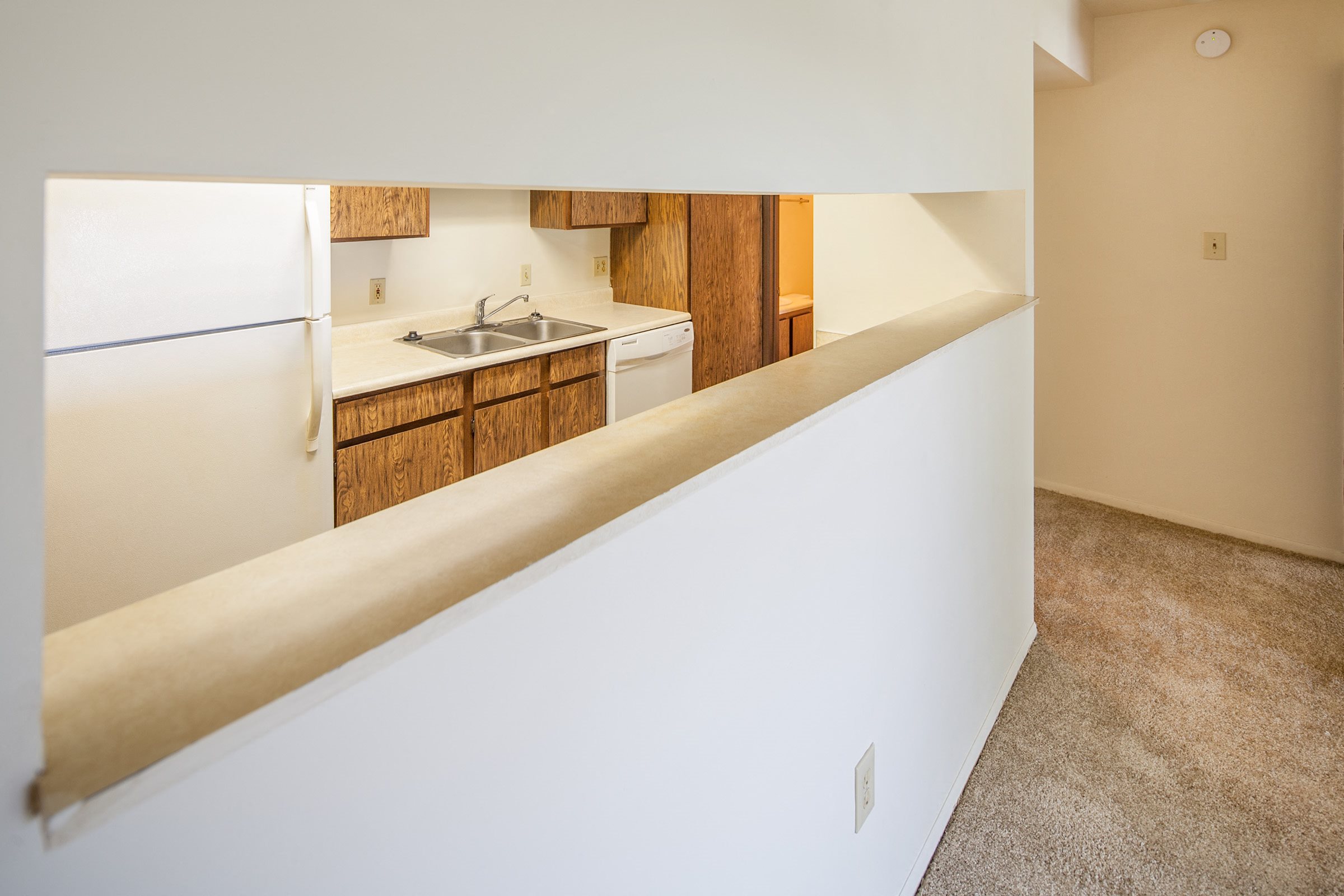 Photos and Video of Forest Glade in OH