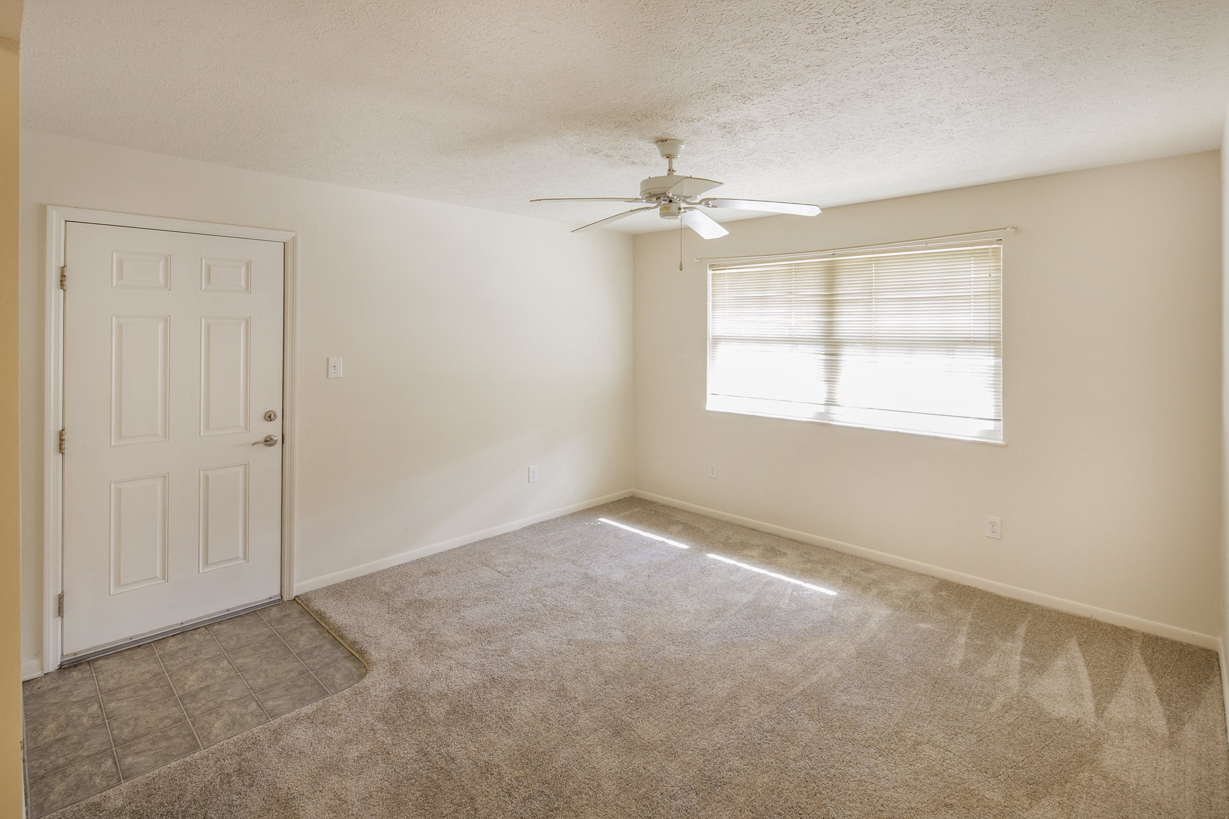 Photos and Video of Bracken Creek in Augusta, KY