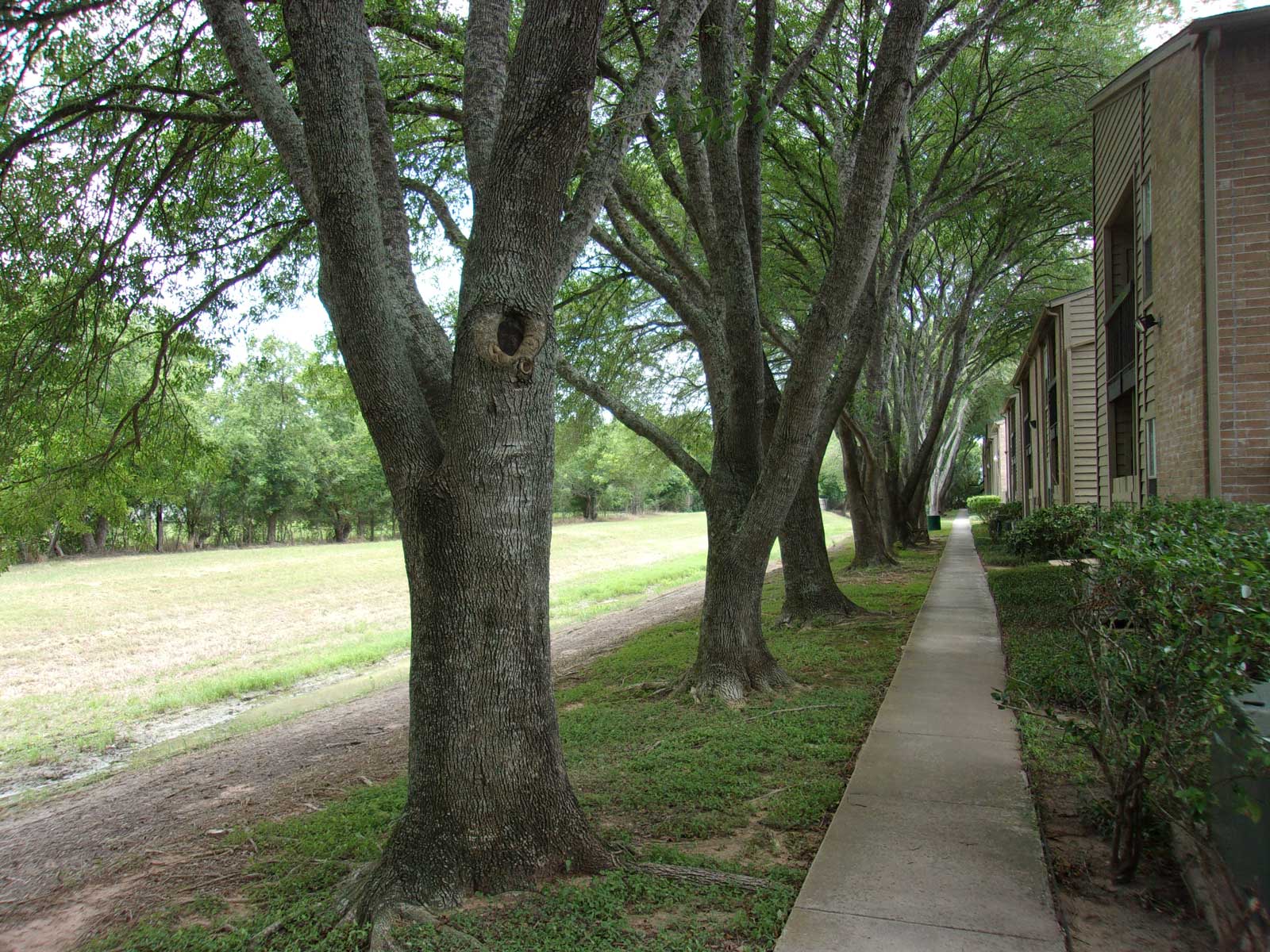 Bayou Bend Apartment and Community Amenities