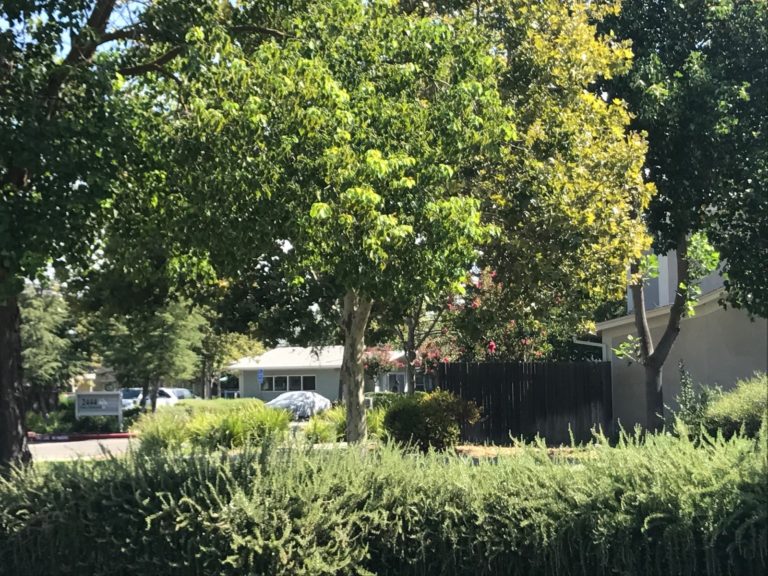 October 4, 2019 Mutual Housing California The Mutual Blog