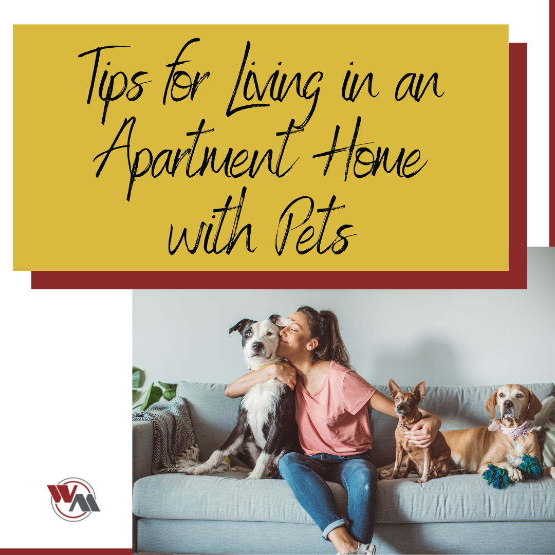 tips-for-living-in-an-apartment-home-with-pets